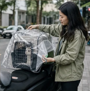 Editorial image of life with cats and their care