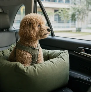 Editorial image of life with dogs and their care